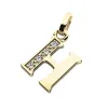 Přívěsek písmeno H žluté zlato 585/1000 přírodní diamanty 0.018 ct G/SI 10982-00-ZL-DIA-H