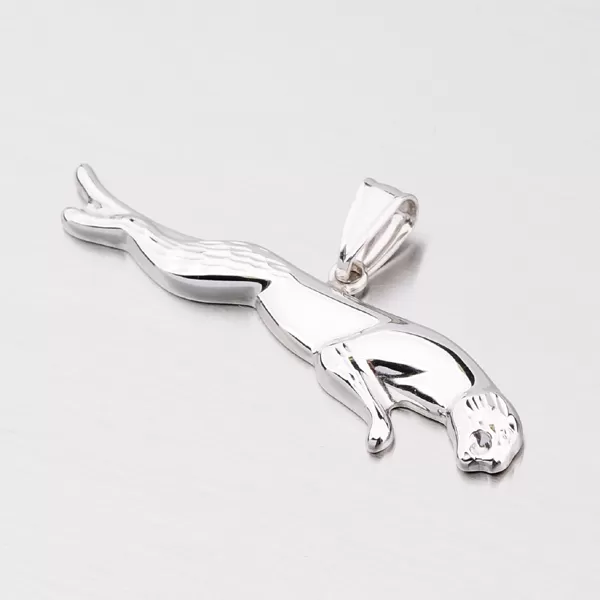 Stříbrný přívěsek XDCSTP12037/2-RD/GW