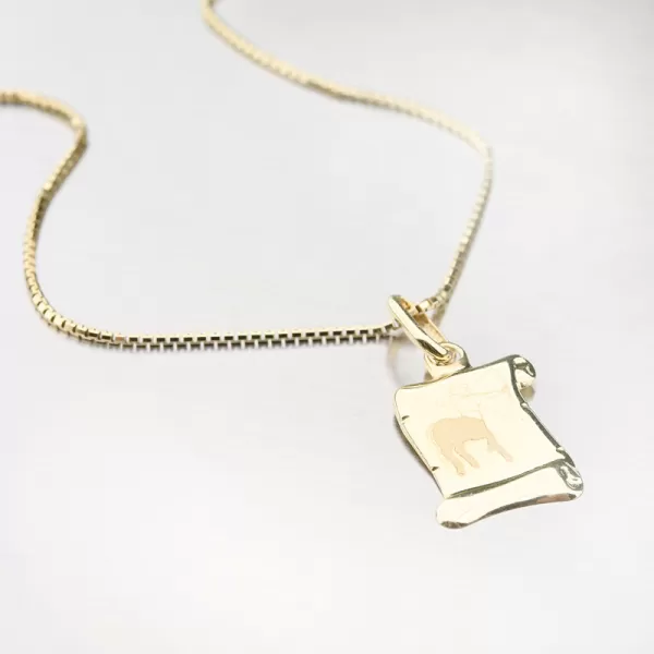 Střelec - zlaté měsíční znamení 43-2081-11