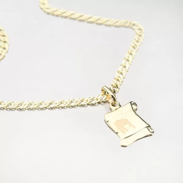 Střelec - zlaté měsíční znamení 43-2081-11