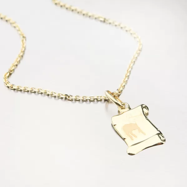 Střelec - zlaté měsíční znamení 43-2081-11