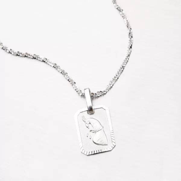 Kozoroh - stříbrné měsíční znamení M5013-12