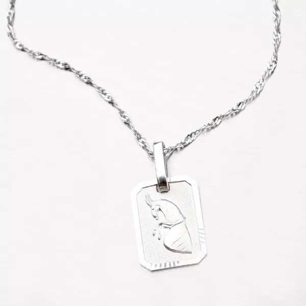 Kozoroh - stříbrné měsíční znamení M5013-12