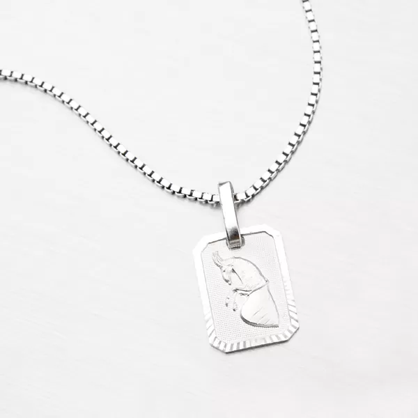 Kozoroh - stříbrné měsíční znamení M5013-12