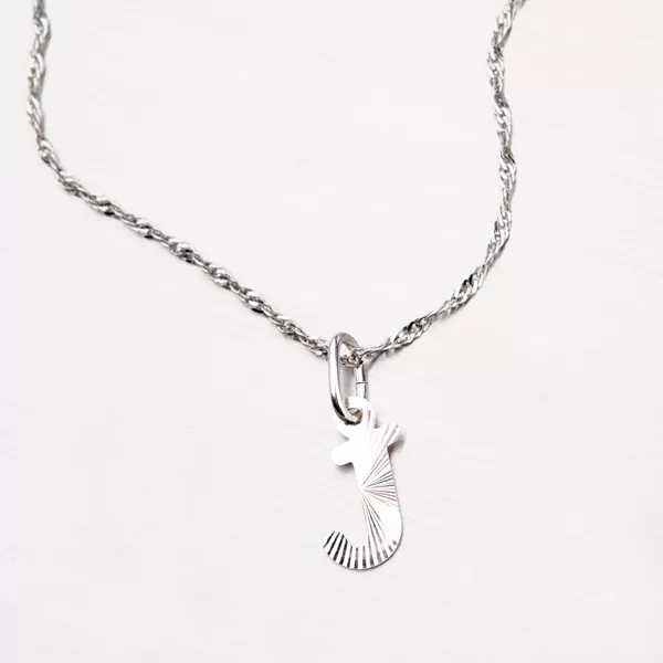 Stříbrné písmenko - J M5114-FC-J