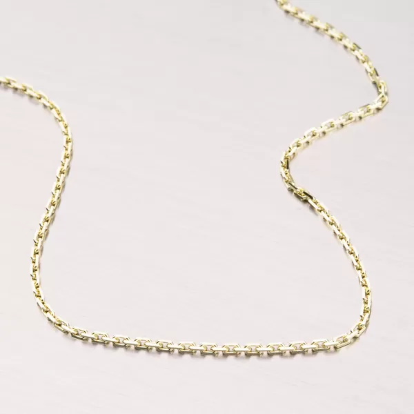 Zlatý řetízek Anker 45-1031