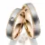 Snubní prsteny titan přírodní diamant 0.007 ct briliantem SP-TI-042