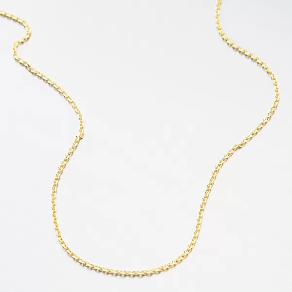 Stříbrný pozlacený náramek Anker CHRS-19-040-D/C-AU