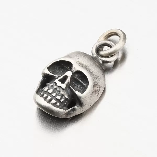 Přívěsek lebka - stříbro 925/1000 P2001096-0532-SLX