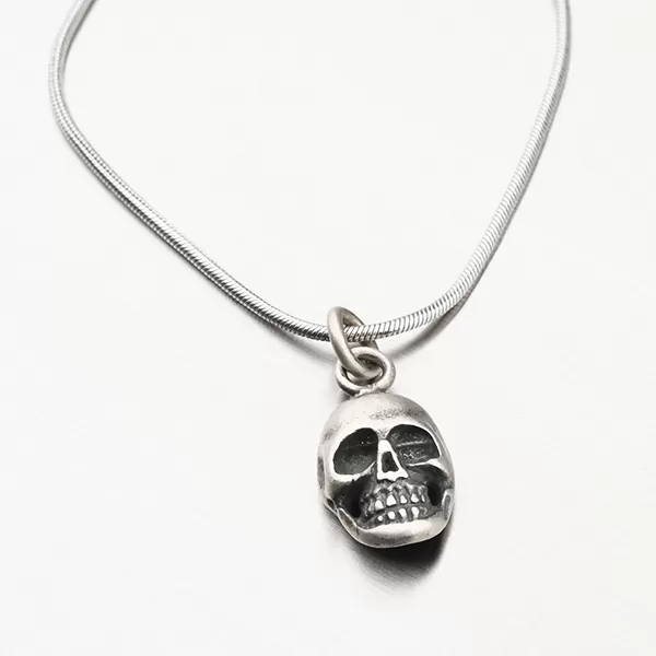 Přívěsek lebka - stříbro 925/1000 P2001096-0532-SLX
