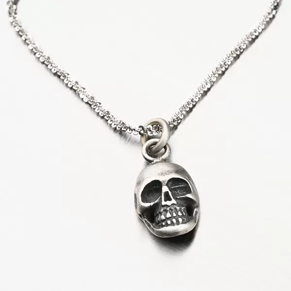 Přívěsek lebka - stříbro 925/1000 P2001096-0532-SLX