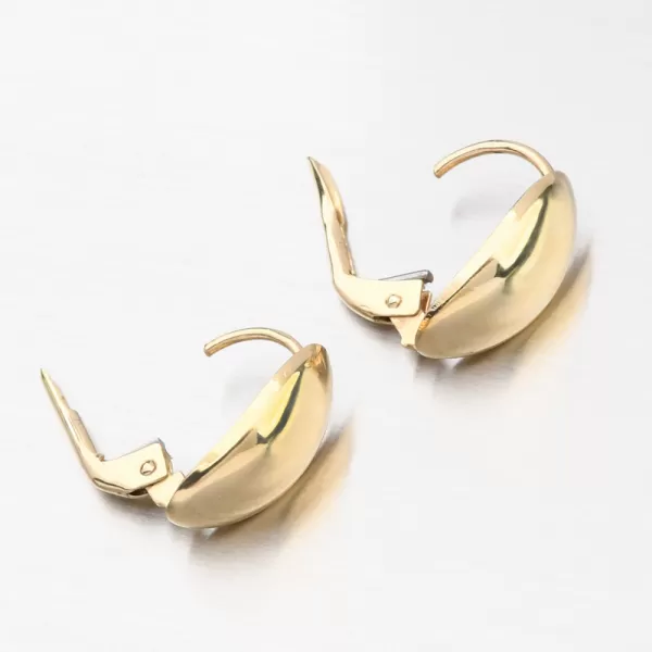 Zlaté náušnice PKL22-049